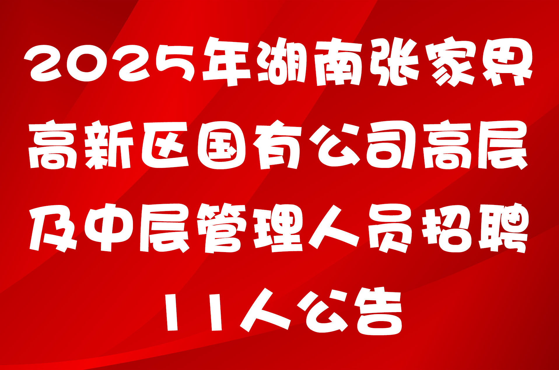 2025年湖南张家界高新区国有公司高层及中层管理人员招聘11人公告