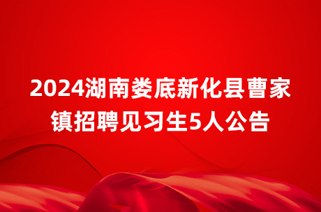 2024湖南娄底新化县曹家镇招聘见习生5人公告