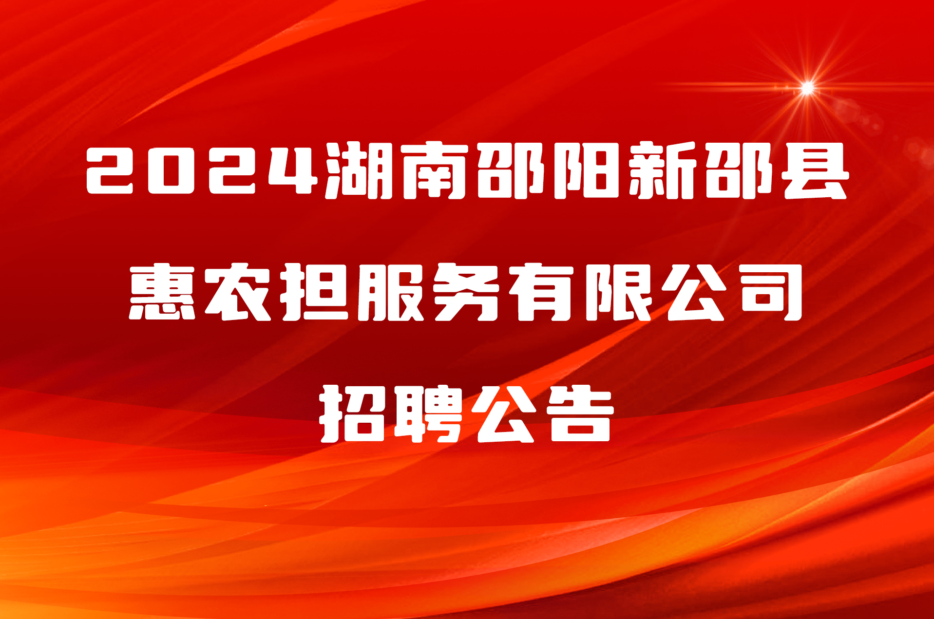 2024湖南邵阳新邵县惠农担服务有限公司招聘公告