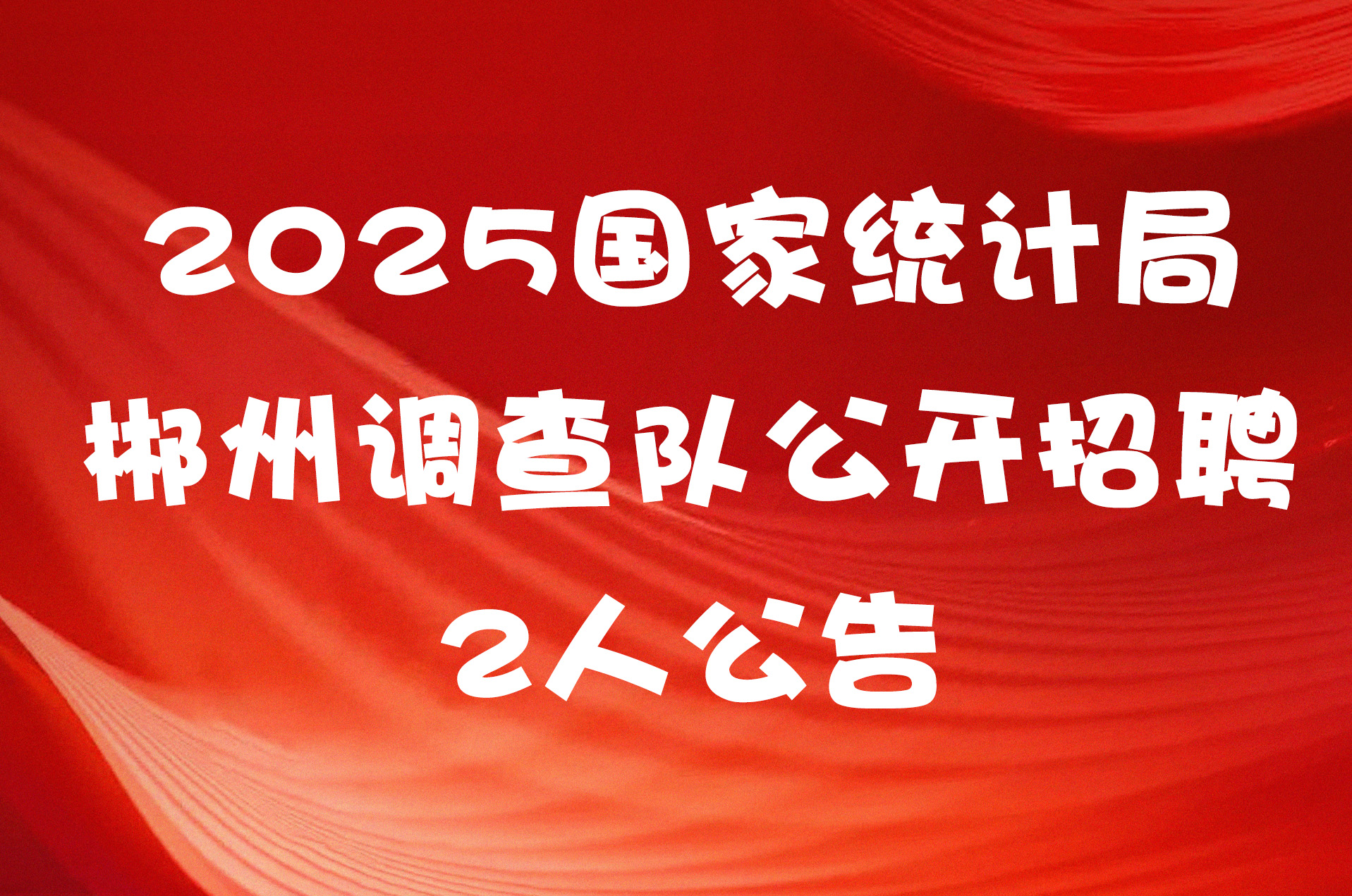 2025国家统计局郴州调查队公开招聘2人公告