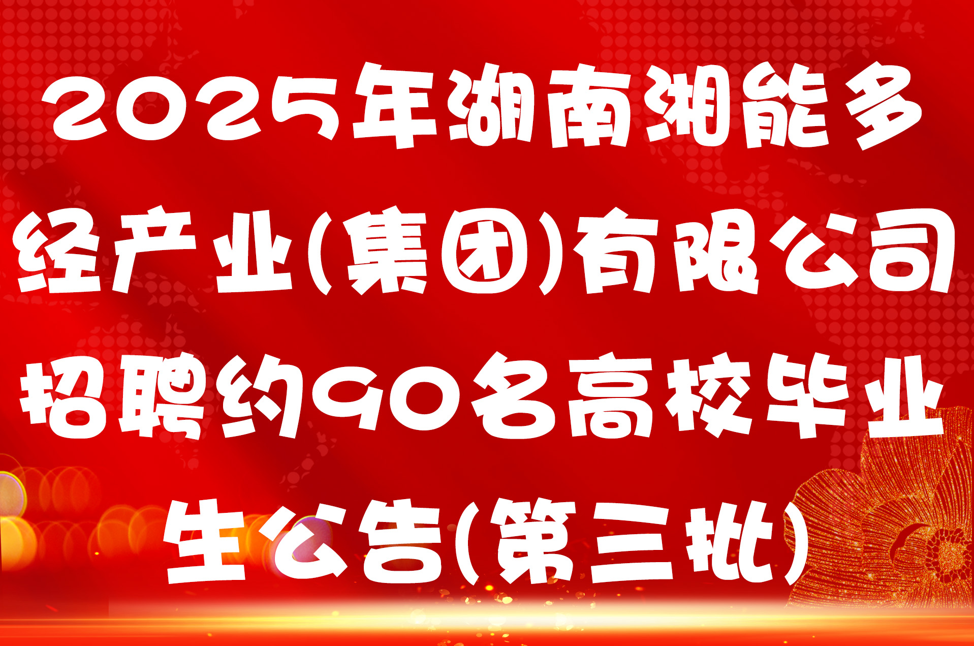 2025年湖南湘能多经产业(集团)有限公司招聘约90名高校毕业生公告(第三批)