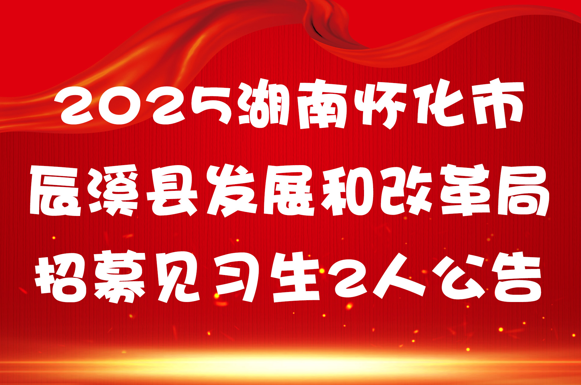 2025湖南怀化市辰溪县发展和改革局招募见习生2人公告