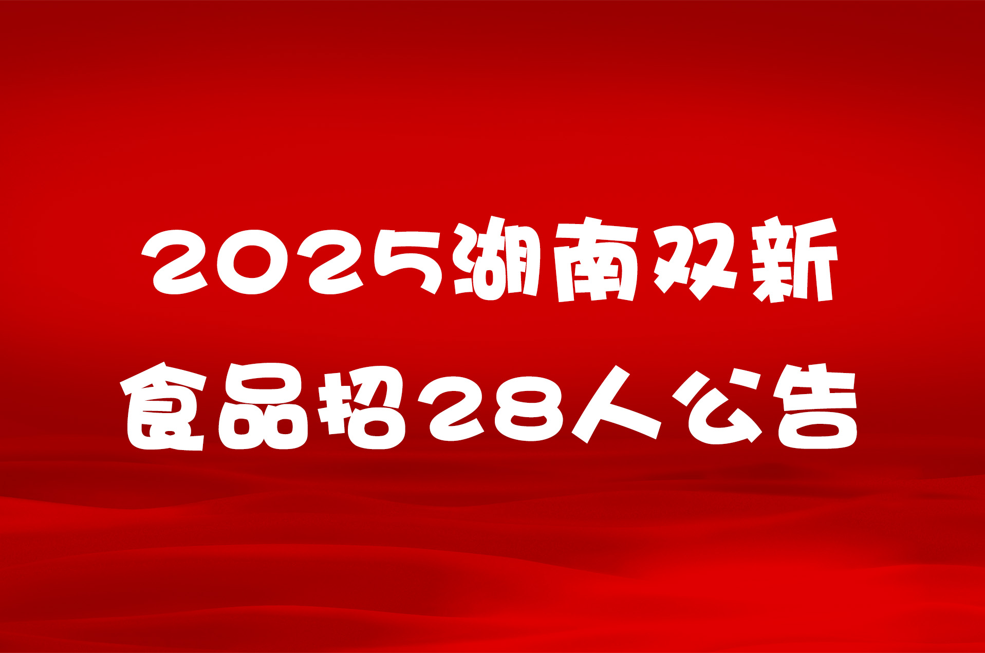 2025湖南双新食品招28人公告
