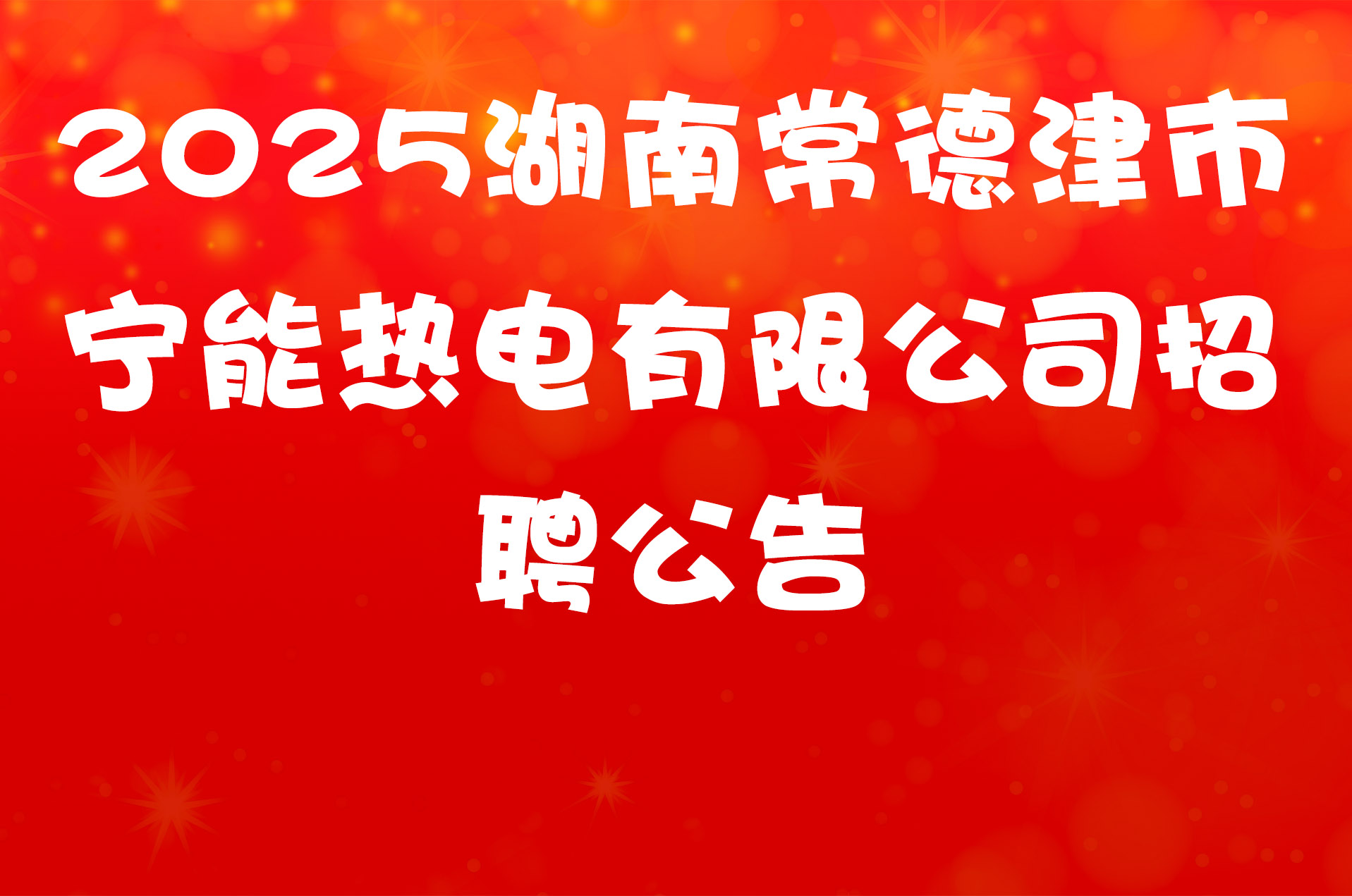 2025湖南常德津市宁能热电有限公司招聘公告